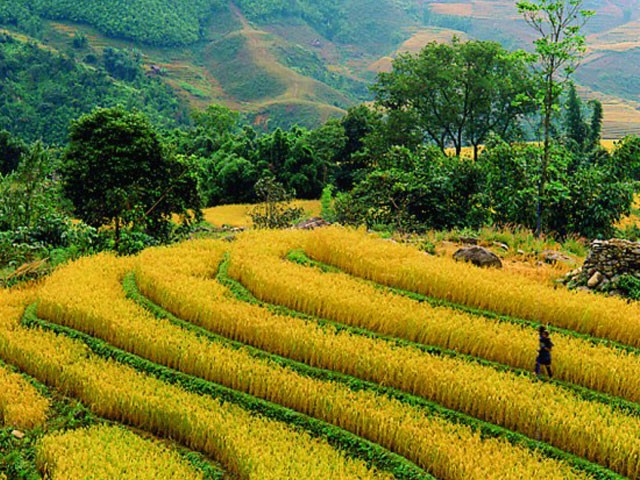 VIETNAM ESSENTIAL MIT SAPA